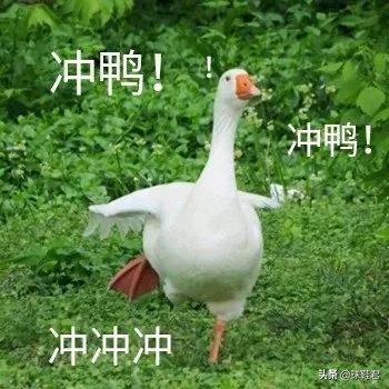 好看又不便宜的aj,aj112019黑红复刻