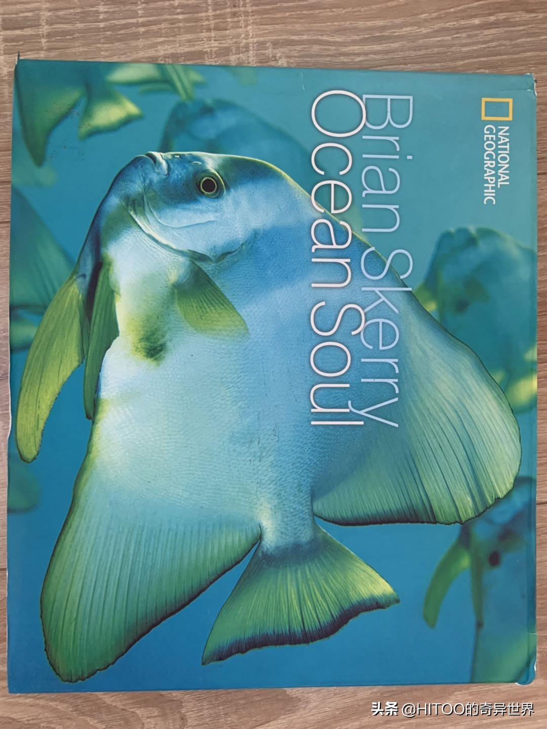 新手去菲律宾买什么比较好,在菲律宾买地靠谱吗