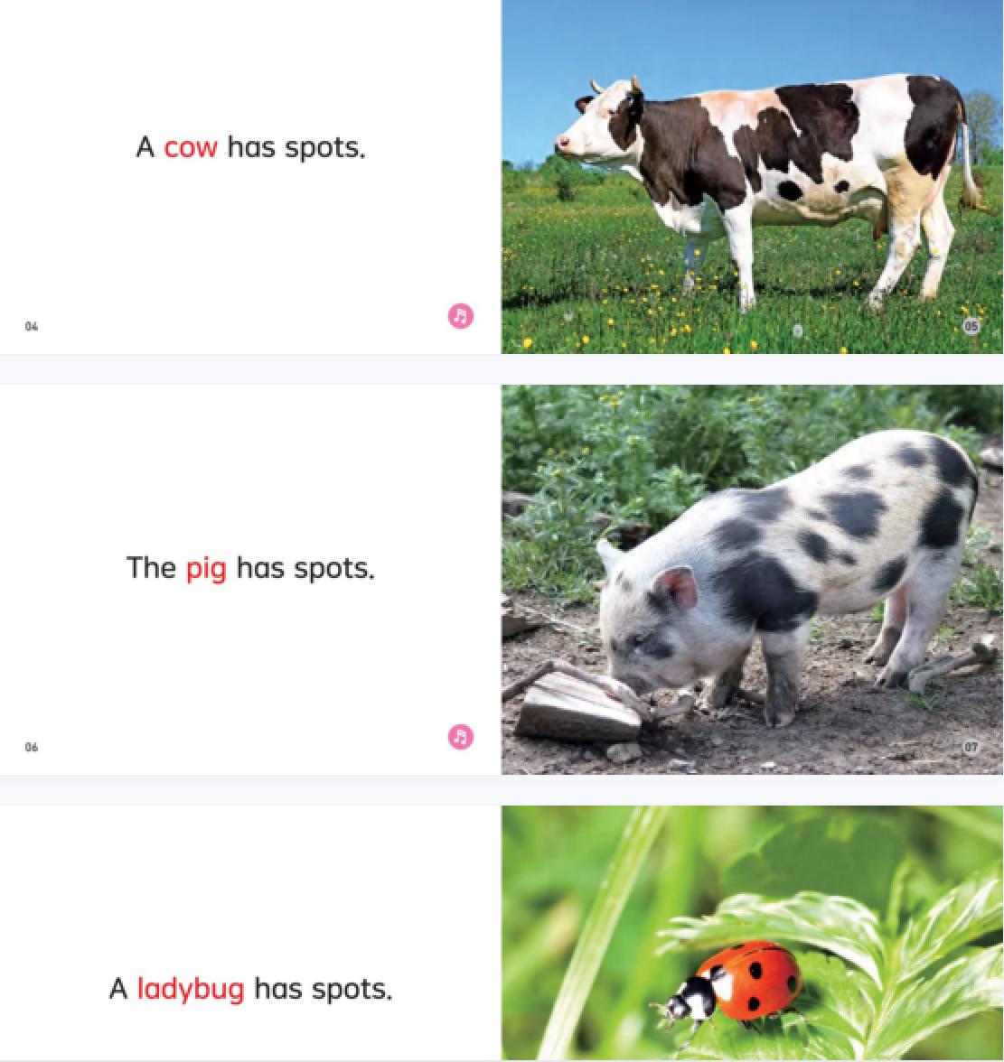 孩子英语零基础，家长英语渣，坚持刷《海尼曼》3个月碾压外教课