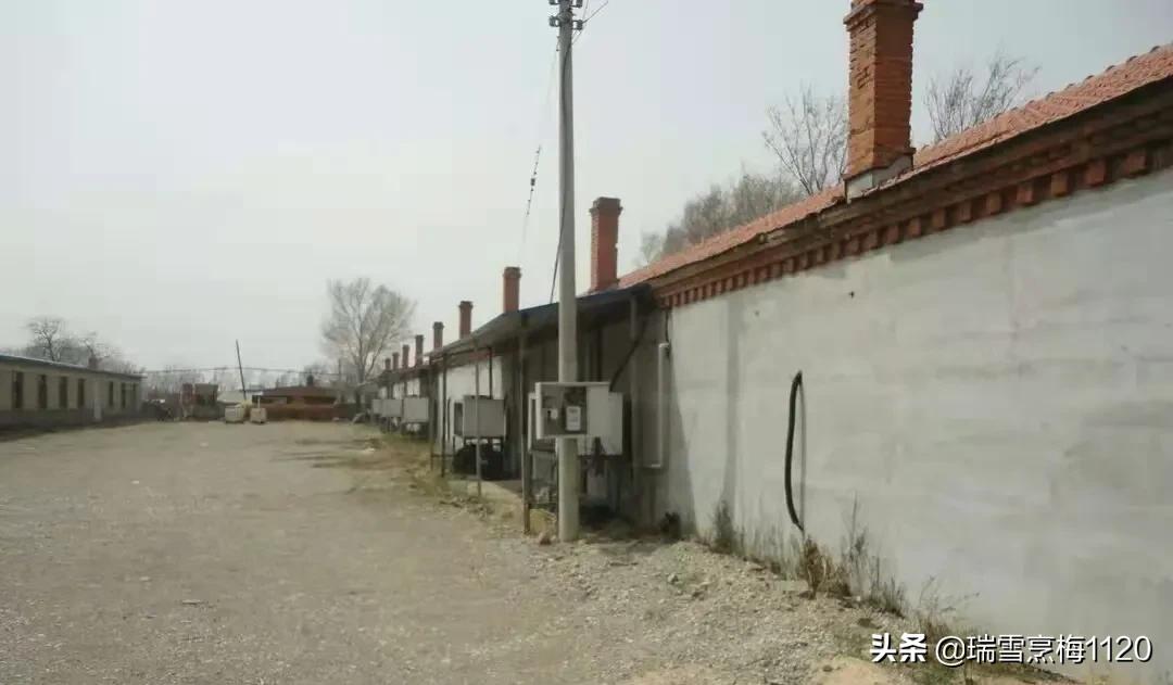 百年老校是哪个小学,百年老校西山小学