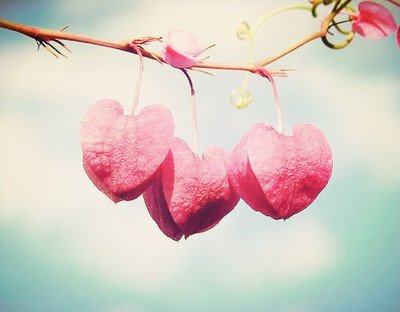 一个人落魄的时候,一个人落魄时才会懂