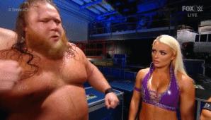 wwesd和raw所有选手,wwesd冠军腰带