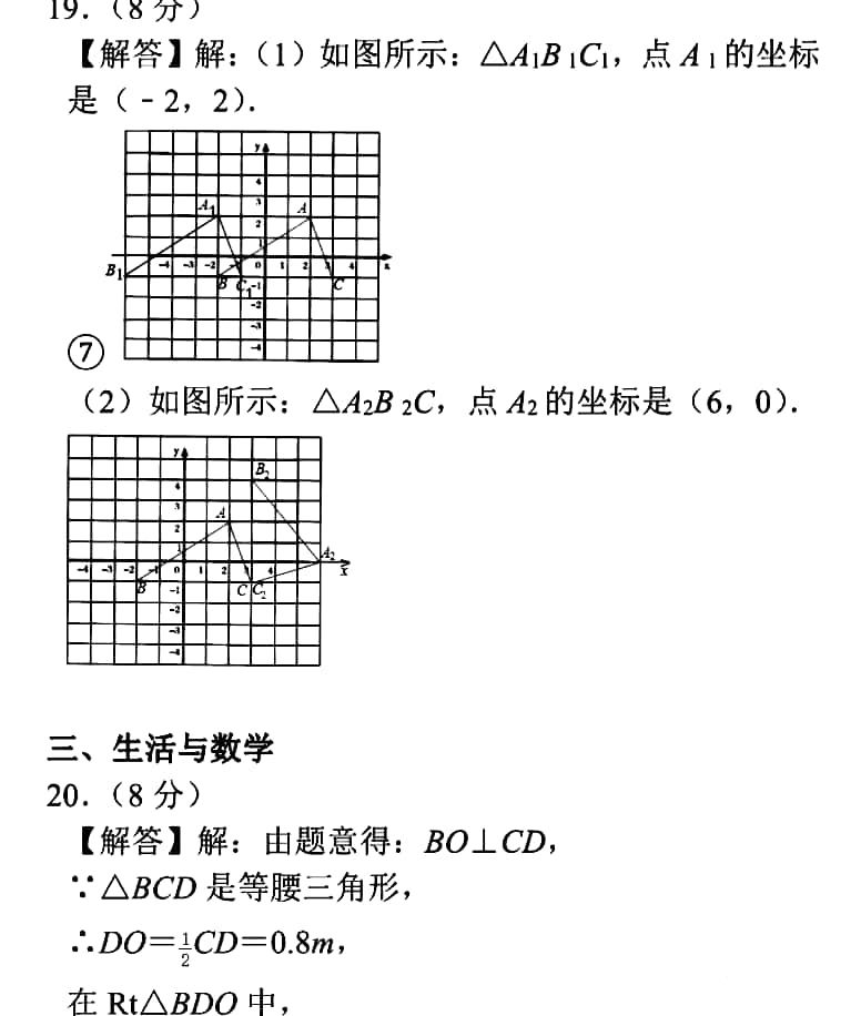 八上数学期末考试卷真题,期末真题八上