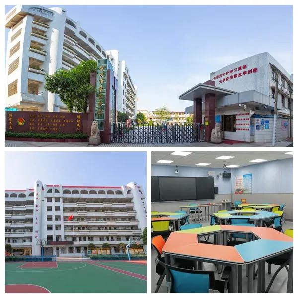端州有几所中学,肇庆端州十大最好的小学