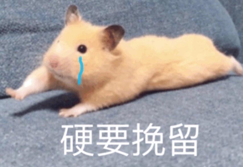 最贵的别墅17亿,最豪华的别墅8亿