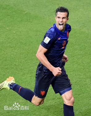 荷兰足球为啥难夺世界杯冠军,荷兰足球队伤病