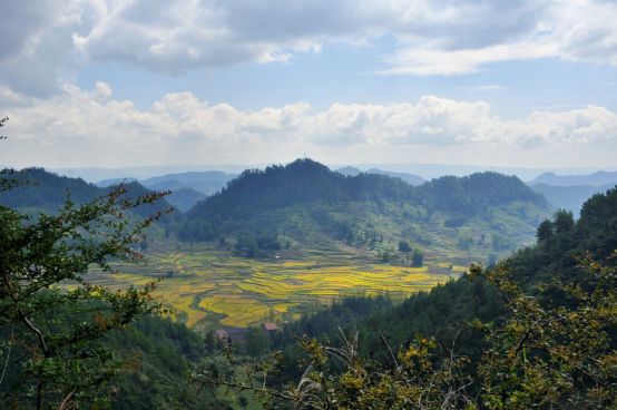 2020重庆马拉松比赛现场直播,重庆千野草场音乐节