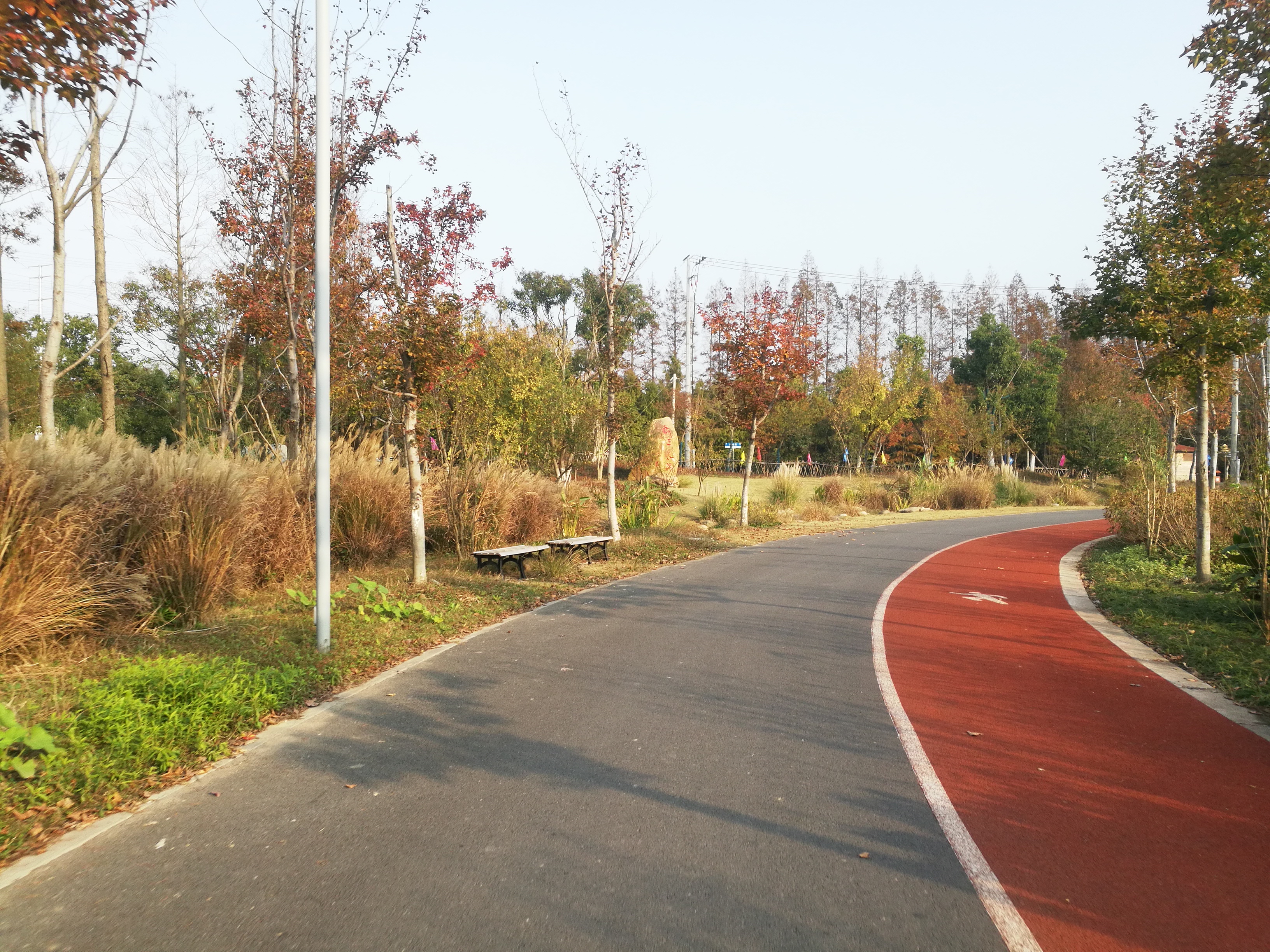 上海崇明岛郊野公园扩建工作,崇明长兴岛公园规划