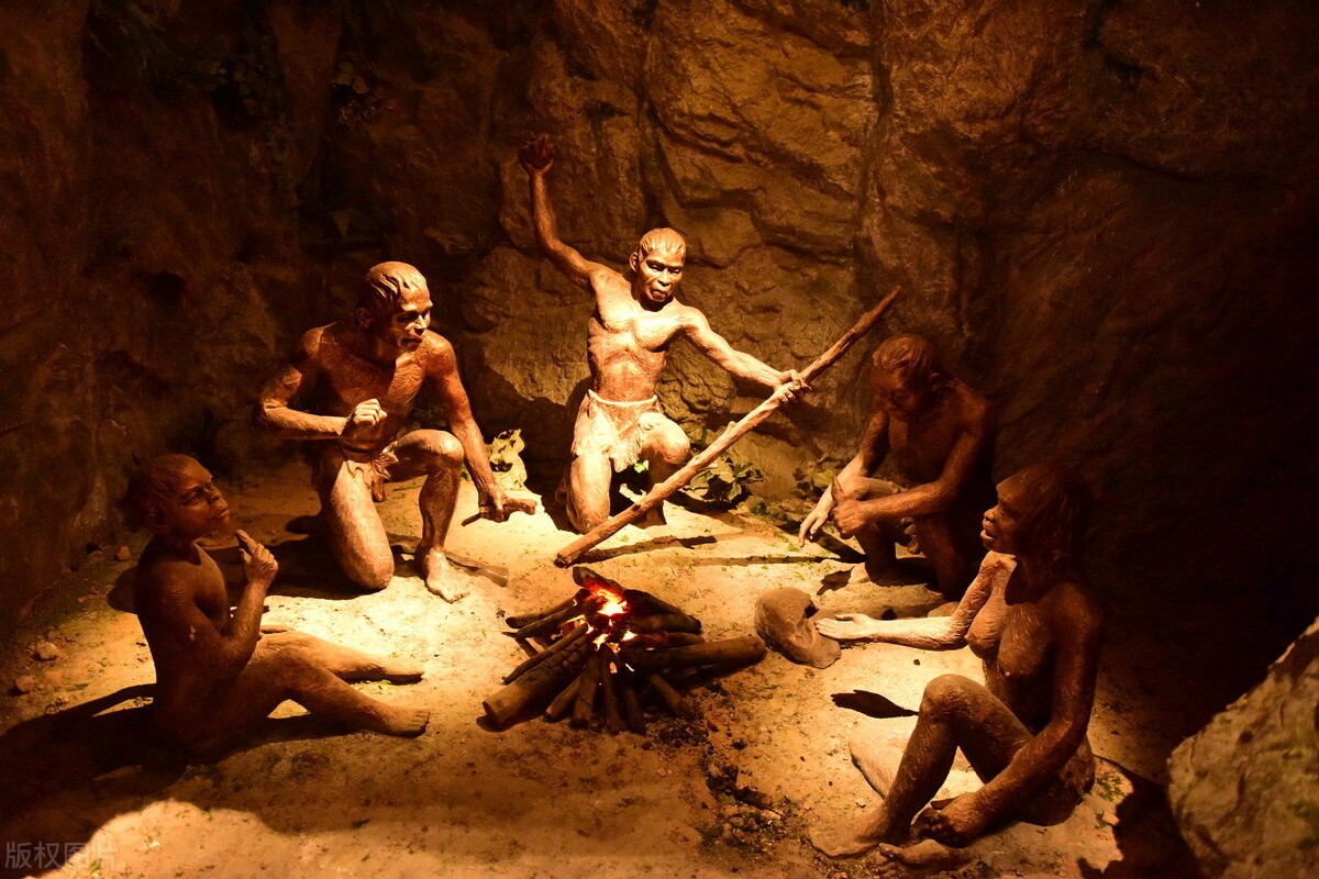 青蛙蜈蚣蛇三种动物哪个厉害,为什么蜘蛛比螃蟹可怕