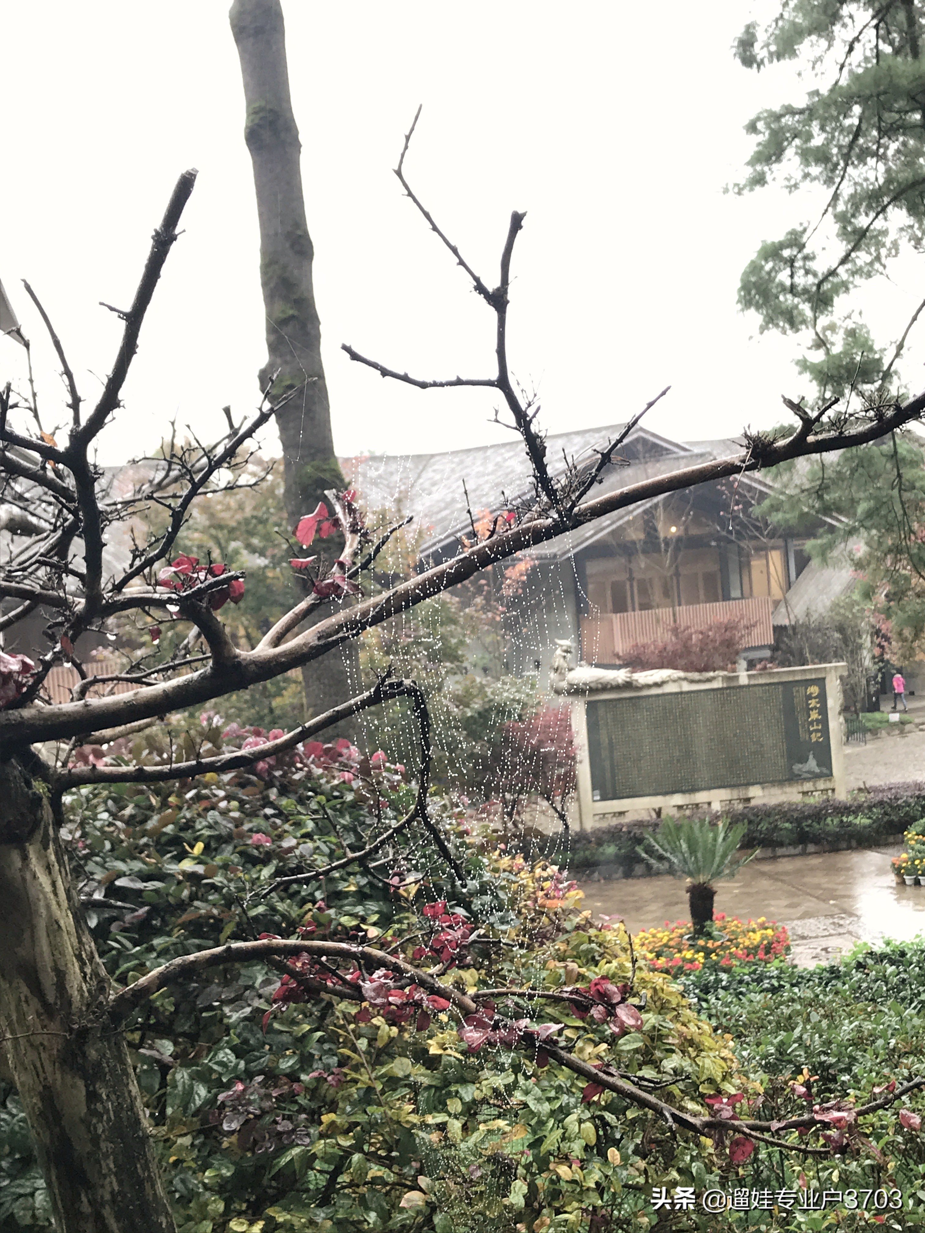 从茶马花街到西山龙门的旅游路线,西山森林公园旅游攻略一日游价格