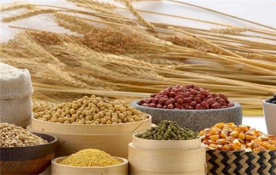 五谷磨房网红策略,五谷养生磨房教程