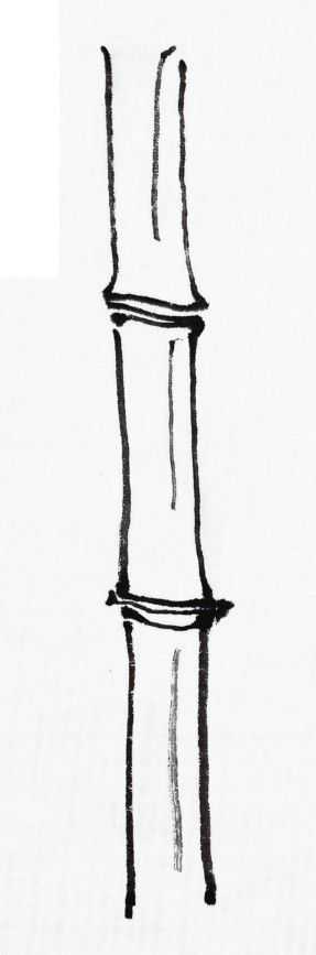 国画基础教程竹子的画法,竹子国画画法教程