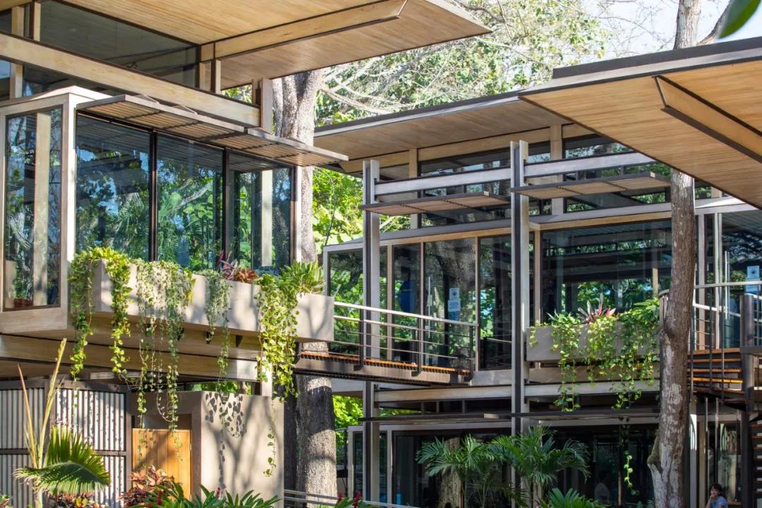 一个完全开放式的林中村落——哥斯达黎加体育中心