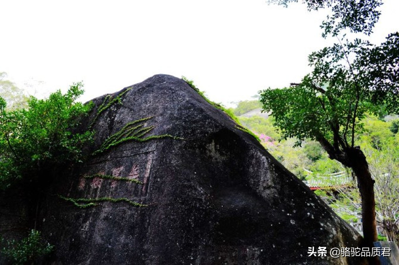 厦门海边之旅,厦门小众旅游体验