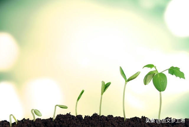 成长路上洒满阳光800字中考作文,成长励志类作文800字中考