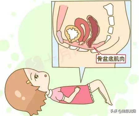 健康科普更年期综合征,盆底功能障碍性疾病科普ppt