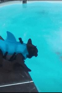 鎼炵瑧gif鎴戠煡閬撲綘鏄釜濡瑰瓙,鎼炵瑧gif娈靛瓙濡瑰瓙浣犲お鐨簡