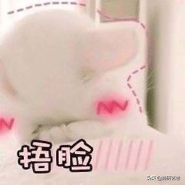 舞蹈生长痘,舞蹈生长痘对照表