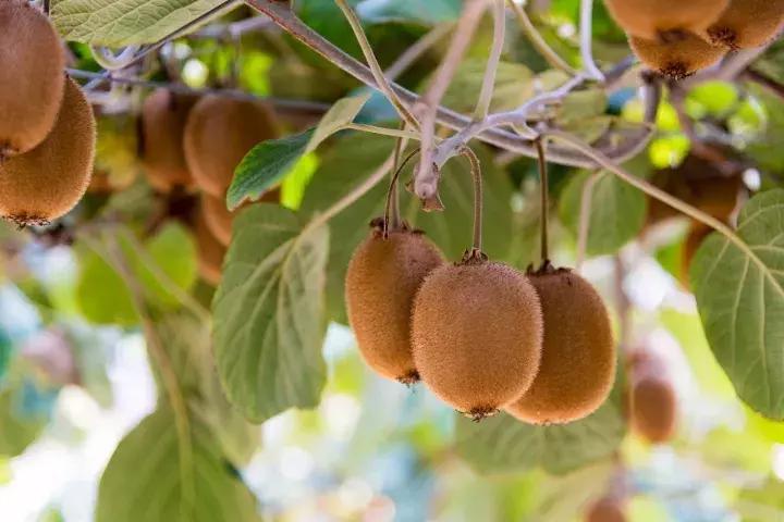孟津值得去的景点,孟津有啥好的旅游景点