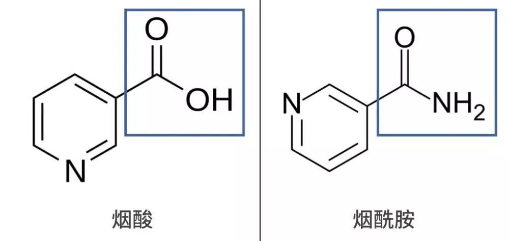 光甘草和烟酰胺哪个美白效果好 (烟酰胺的功效与作用可以美白吗)