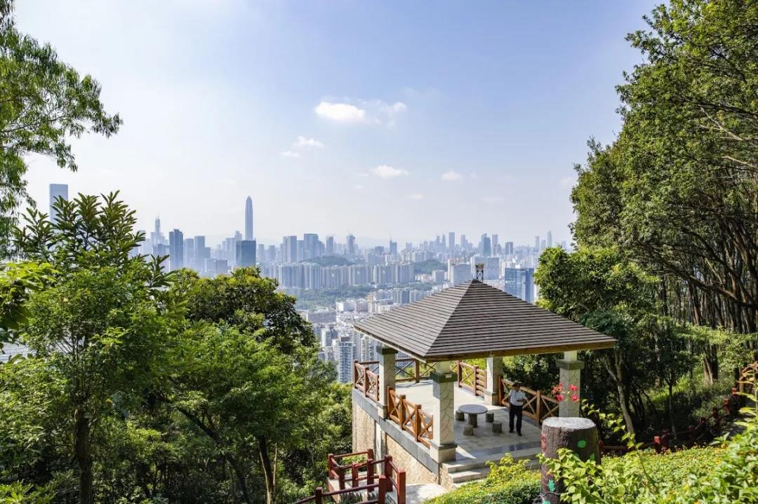 深圳遛娃必去景点免费过年,深圳适合儿童游玩的公园