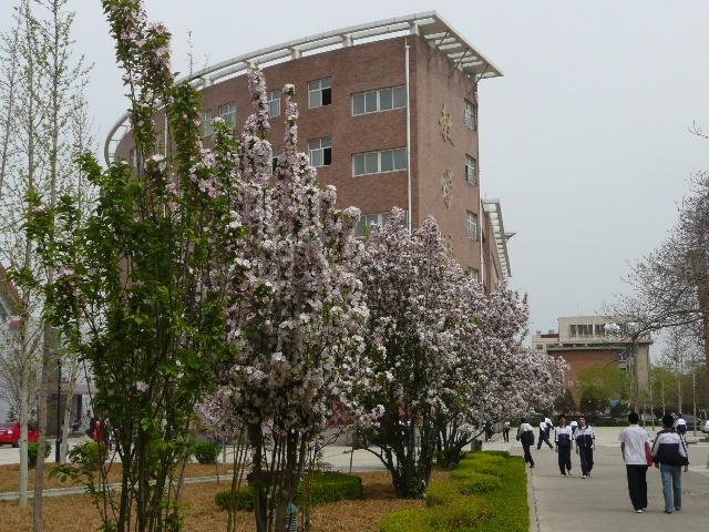 高中生职业生涯规划演讲,高中生职业生涯规划教育