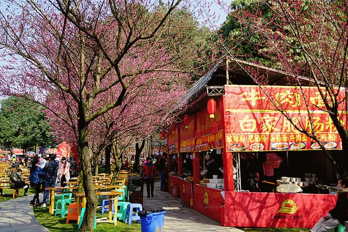 除夕迎立春，玛雅混搭中国年，来四川成都过个特别的春节假期吧