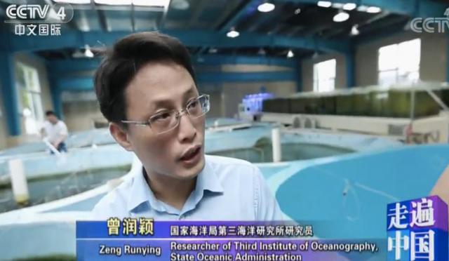 明星发质怎么变好的,明星发质怎么保养