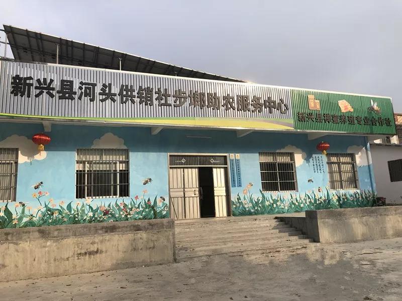 小蜜蜂助力农业增产增收,小蜜蜂脱贫致富案例