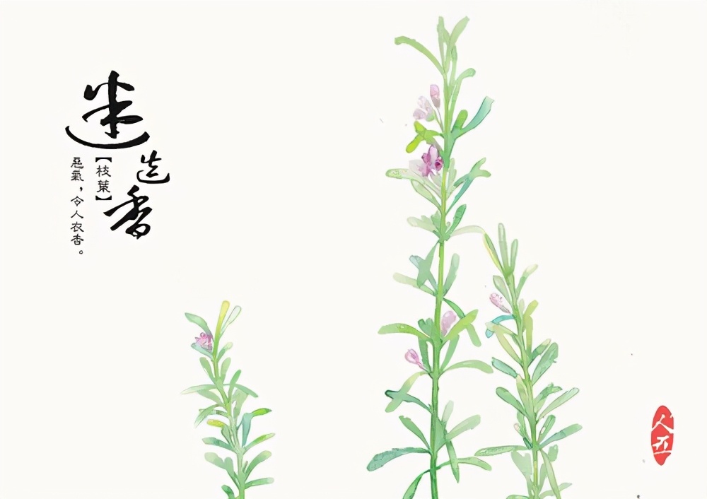 考古发现男性化妆品,东周墓发掘