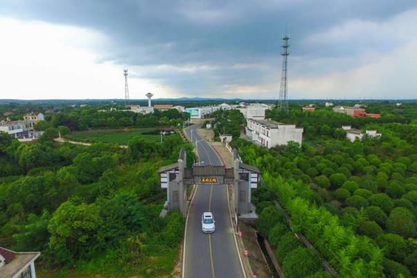 苗木产业，肥西高质量发展的最美底色——写在2020合肥苗木交易花卉交易大会开幕之际