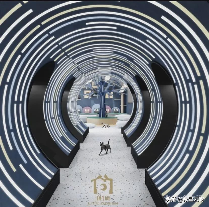 高端购物商场如何运营,2020购物中心调整思路