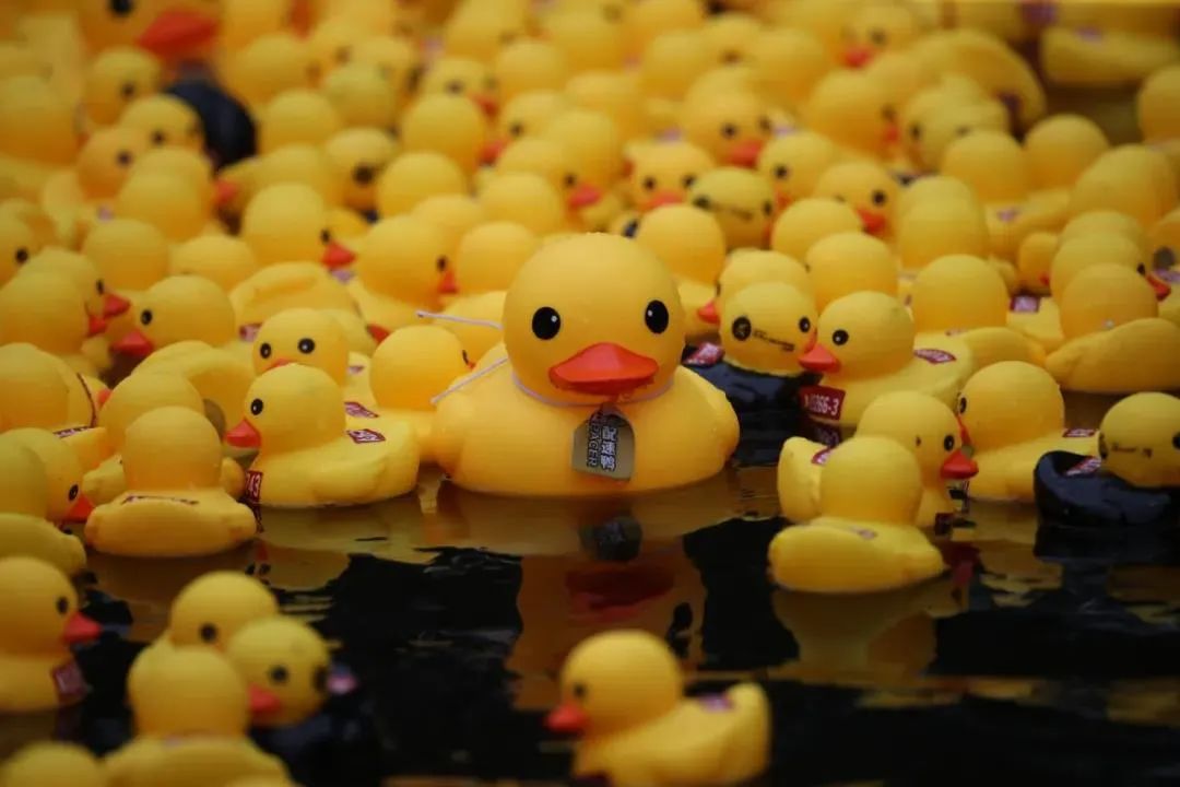 西安跑步圣地5公里,西安曲江池遗址公园跑步