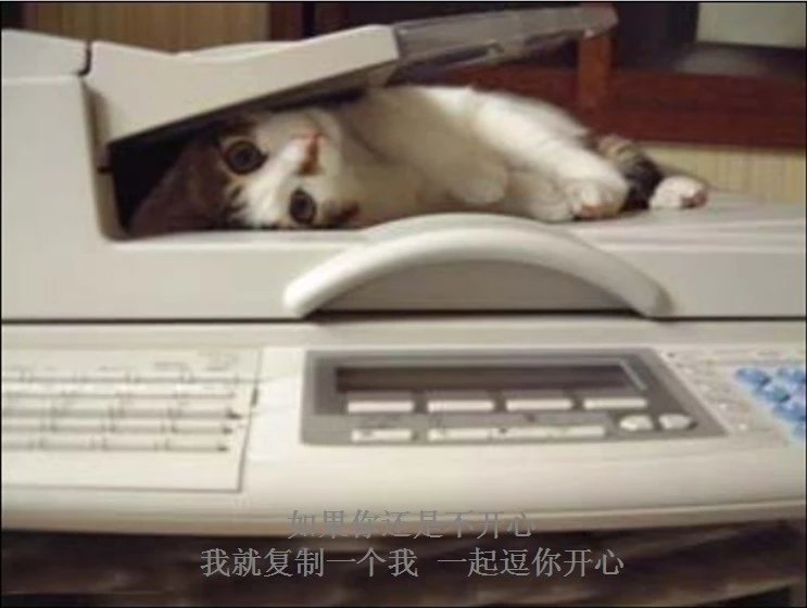 我只想说声爱你,只想再爱你一次