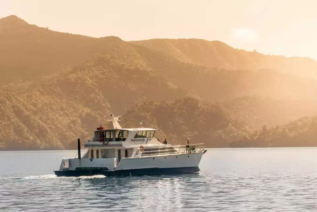 在新西兰吃过的美食,新西兰美食100种