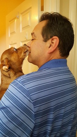 狗狗有多害怕突然出现的玩具,狗狗喜爱的玩具大盘点