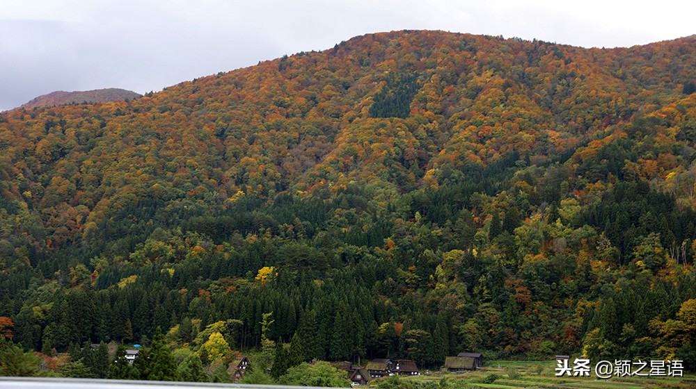 几千块的日本电饭煲,国产锅日本锅