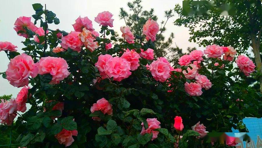 90后小伙走上致富之路,90后小伙自己赚钱的门道