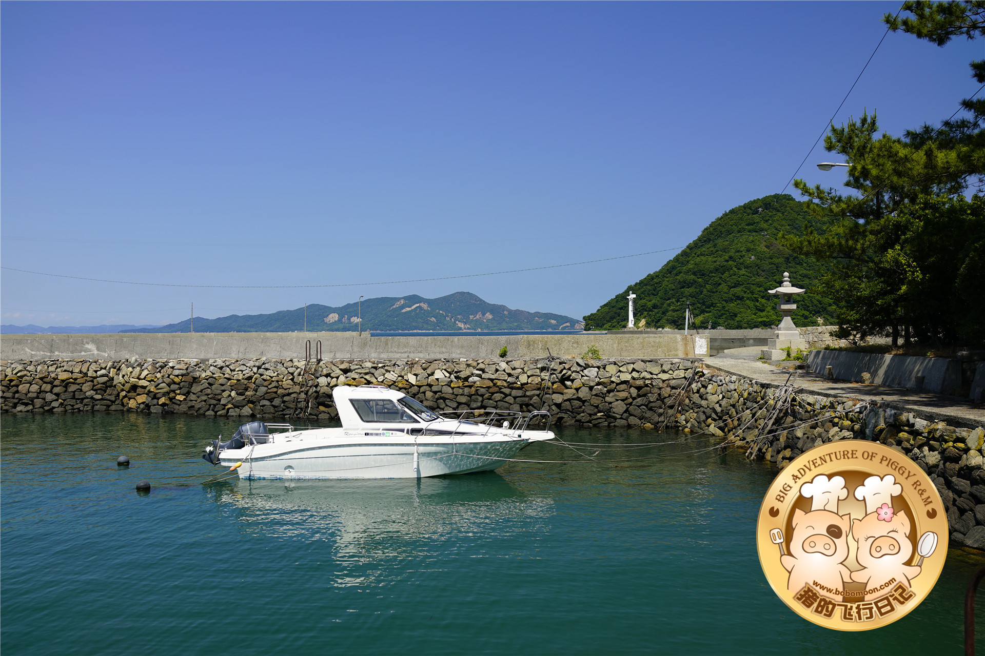 被铲屎官惊到的喵星人,让铲屎官瑟瑟发抖的喵星人