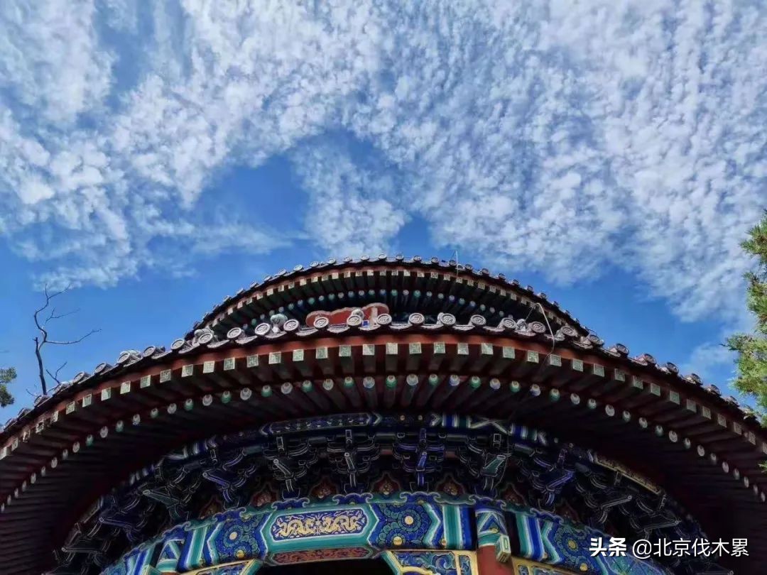 木工茶,木工手工雕刻茶道