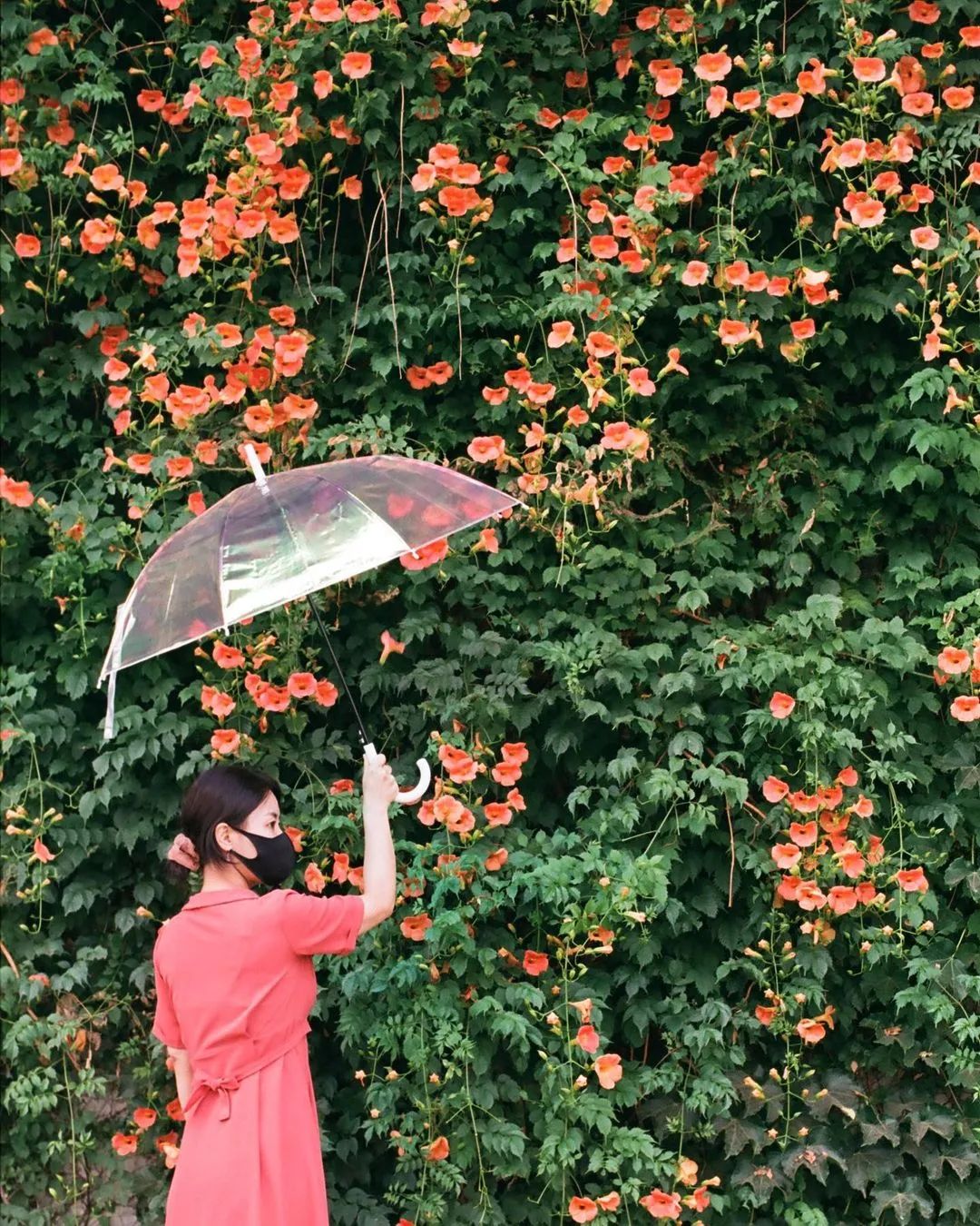 blackpink同款胶卷相机,blackpink同款胶片机