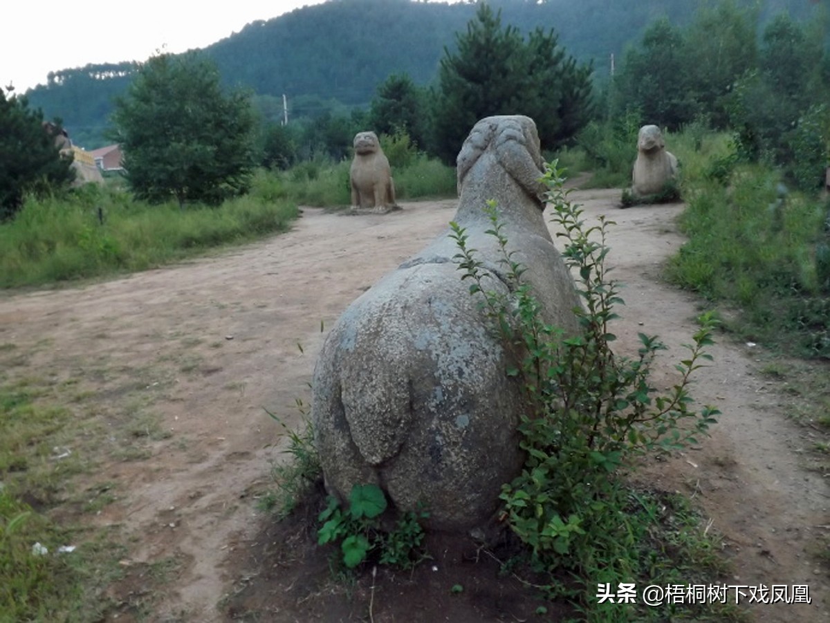 一个盗墓者的自述解说,一位盗墓者的自述实体书