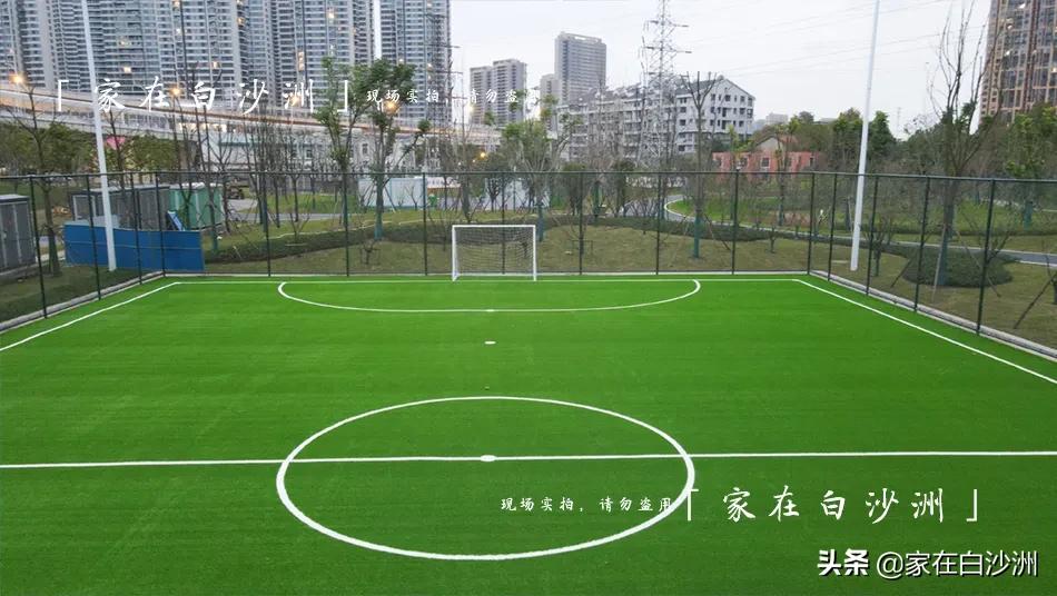 白沙洲公园篮球场,白沙洲附近免费篮球场