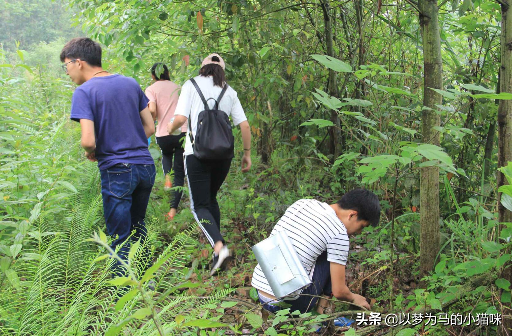 农学专业是冷门吗,农学类专业最冷门的专业有哪些