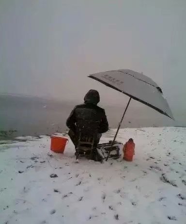 钓鱼新手有必要买偏好点的渔具吗,野钓一年渔具花费