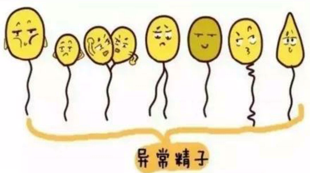 畸形精子症怎么治疗有效,精子畸形症怎么治疗