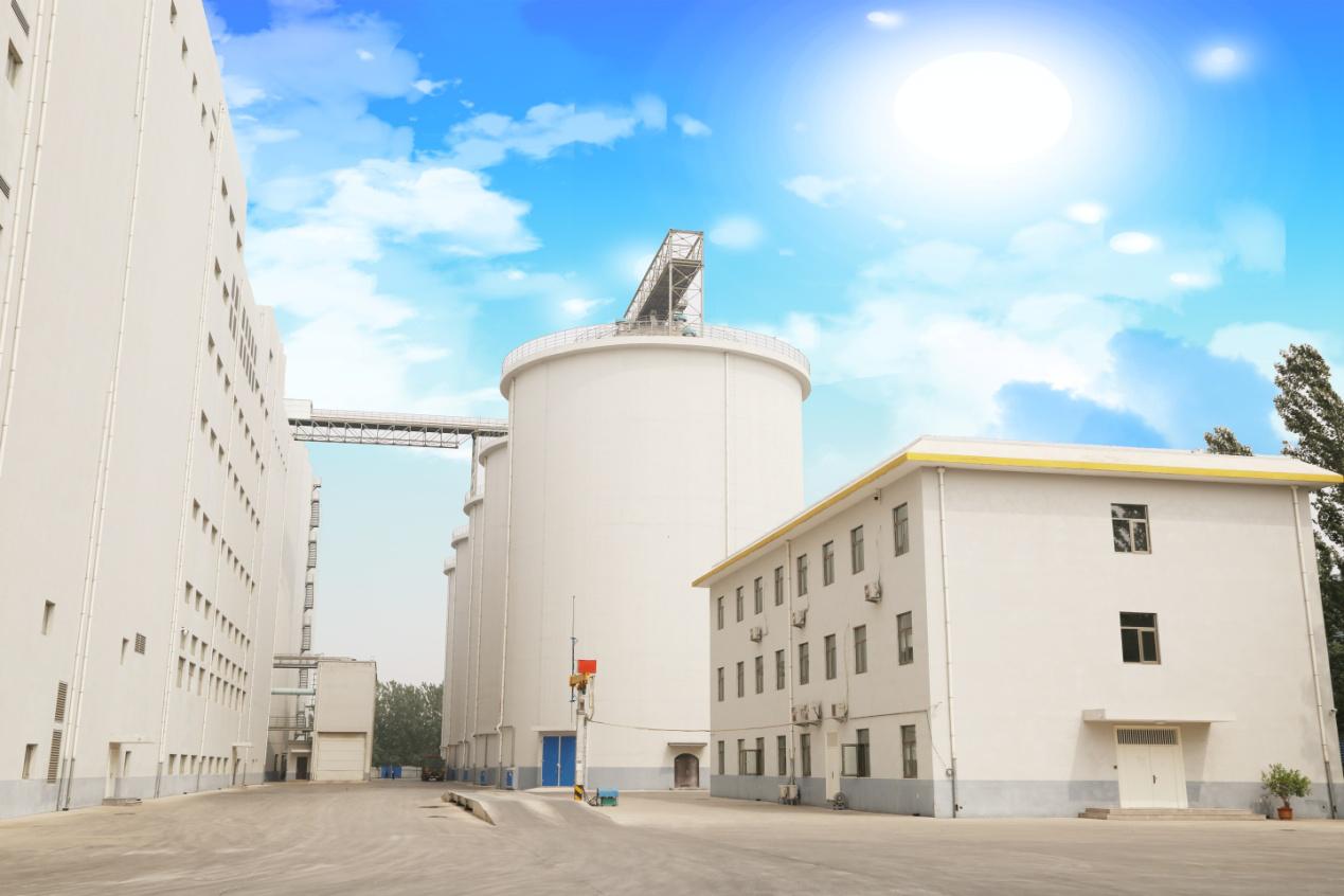 廊坊第二十四届农产品展销会,2024廊坊食品展览会