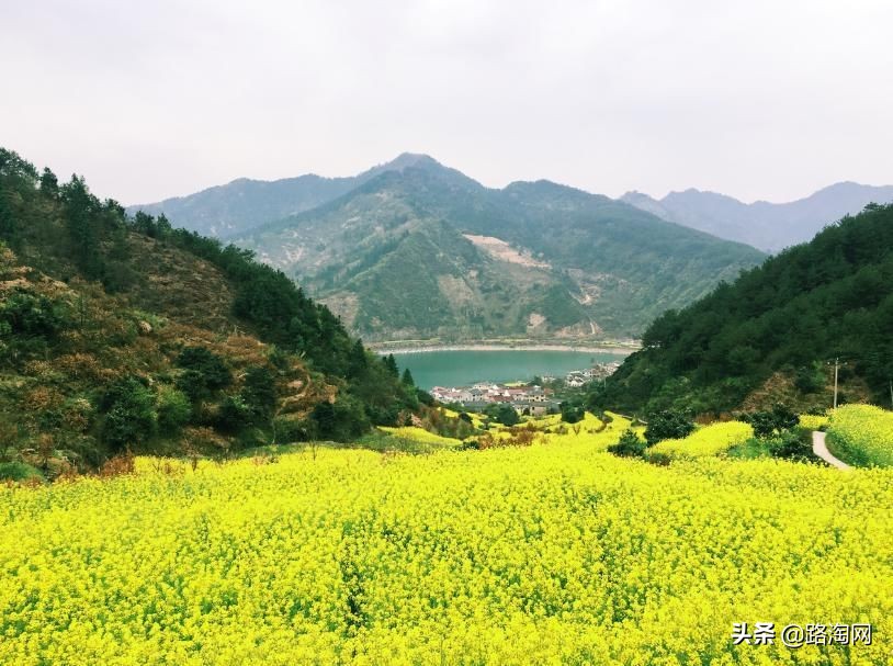 五一小长假结束再看一波各地美景,五一小长假去哪登山踏青看花好