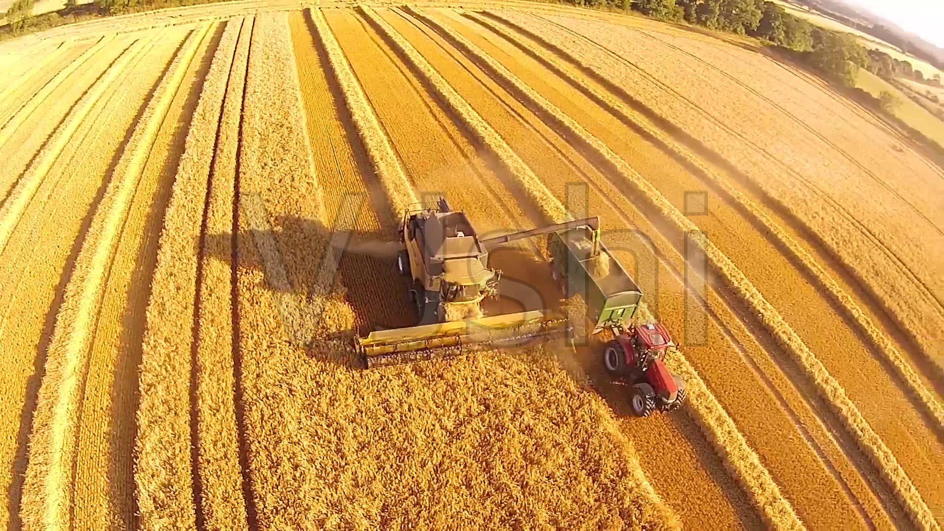 中国农业问题现状分析,对中国农业行业分析