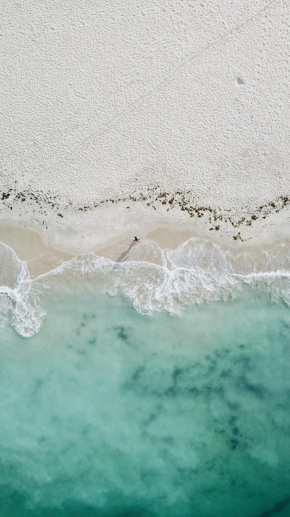 便是人间好时节壁纸,良辰美景好时光手机壁纸